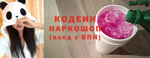 дурь Инта