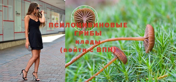 гашик Абинск